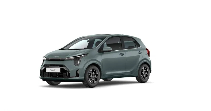 kia tomaszów mazowiecki Kia Picanto cena 71000 przebieg: 5, rok produkcji 2024 z Tomaszów Mazowiecki